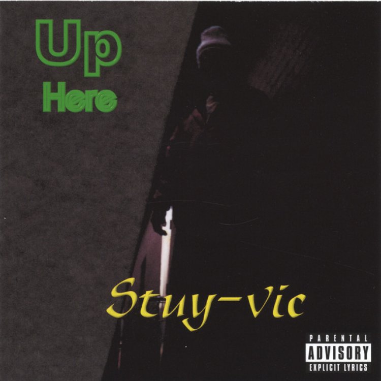 Coming Out With a Brand New Album: Introducing to the Masses: Stuy-Vic