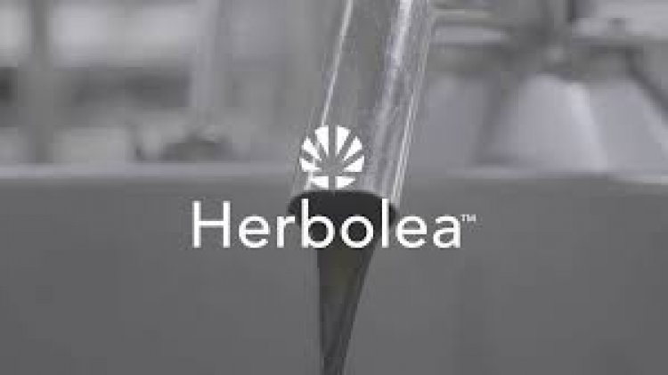 Herbolea inks deal with leading Hemp cultivator in New York State