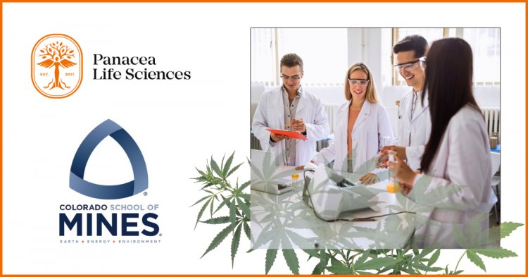 Panacea Life Sciences Sponsors Colo. School of Mines STEM Students to Explore Viability of Producing Graphene from Hemp
