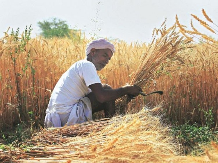Kharif foodgrain output estimated at record 150.50 mn tonne this year: Govt