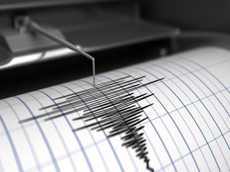 Earthquake of 3.9 magnitude strikes Andaman and Nicobar Island