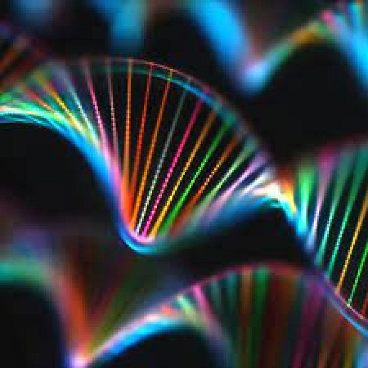 Rainbow Genomics Launches Whole Genome Sequencing Supported by Multiple Genomic Technologies