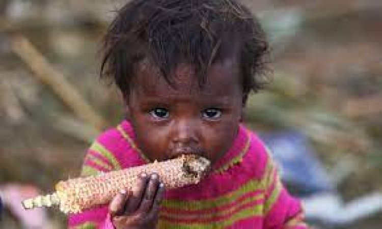 Malnutrition affects rich, poor alike: Health experts