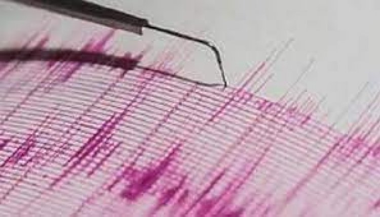 Maha: Mild tremor in Palghar, no casualty