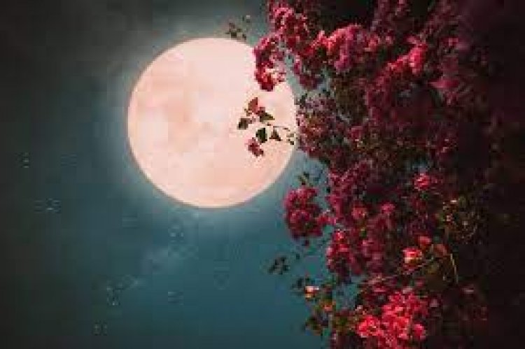 October’s Full Moon Challenge: A Perfect Time to Clear Out the Body