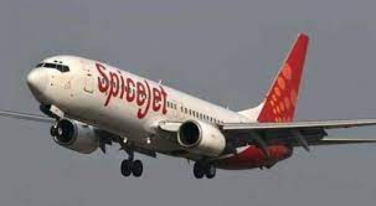 SpiceJet hives off cargo and logistics biz into separate entity from Apr 1