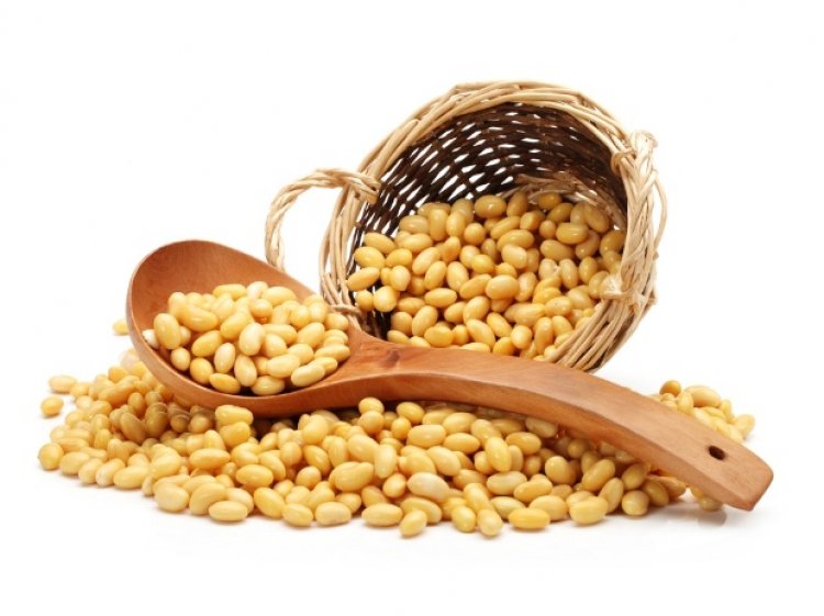 Soyabean output may rise 14 Percent to 11.9 mn tn this year: SOPA