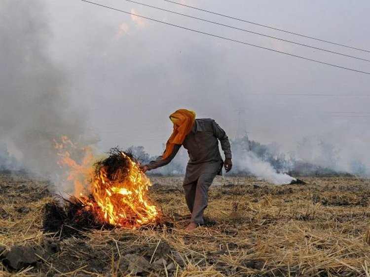 Stubble burning incidents down 63 Percent this month, says report