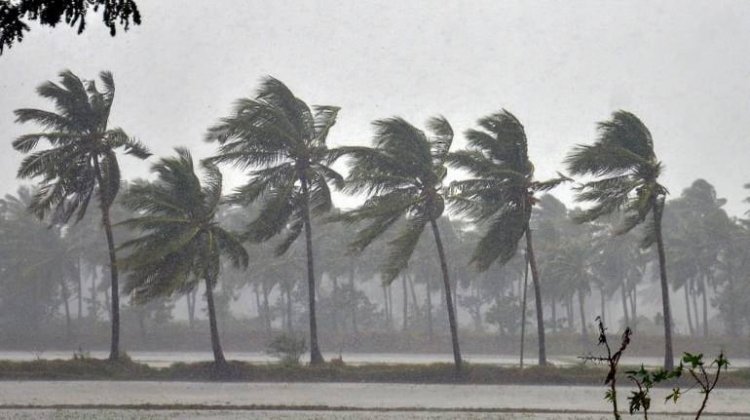 IMD issues Orange alert for 11 districts in Kerala