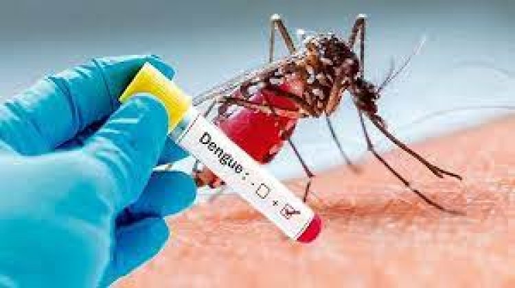 More than 3,300 dengue cases in Delhi, nearly 1,150 reported in Nov