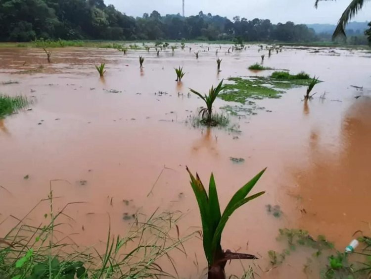 Heavy rains lash Kerala; 'Orange Alert' for 6 districts