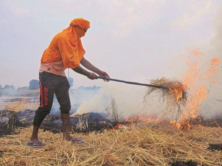 67,000 farm fires recorded across Punjab recently despite state penalties