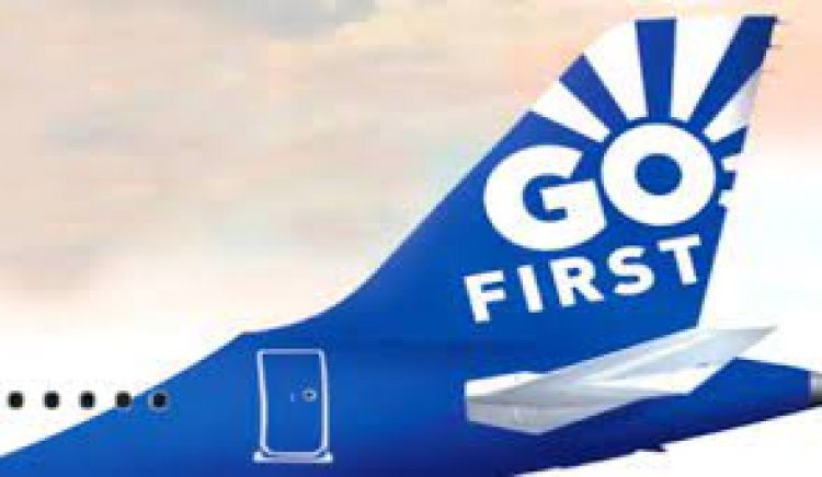 HC judge rejects pleas by Go First's lessors for release of leased planes