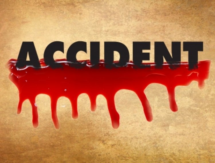 2 medicos killed in freak road accident in TN