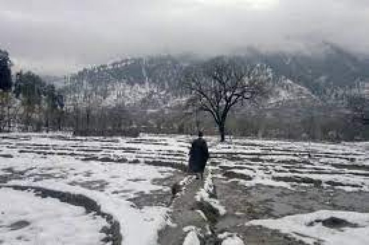 Cold wave grips Kashmir valley