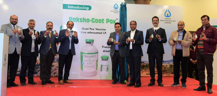 Indian Immunologicals launches vaccine for Goat Pox