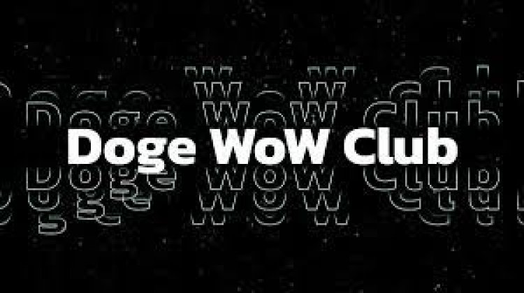 Doge Wow Club Launches Blue Chip NFT Collection on OpenSea Platform
