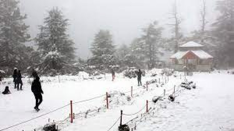 Kashmir valley in grip of freezing cold