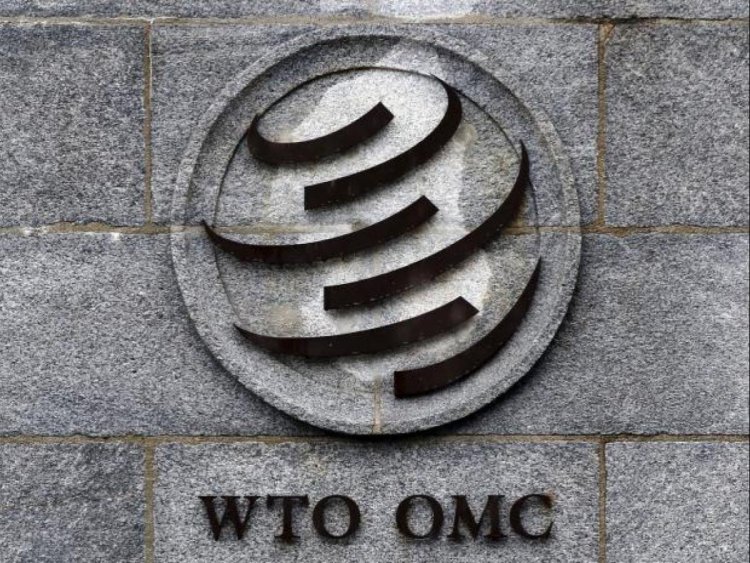 WTO discusses India's call for holding virtual meet on pandemic response