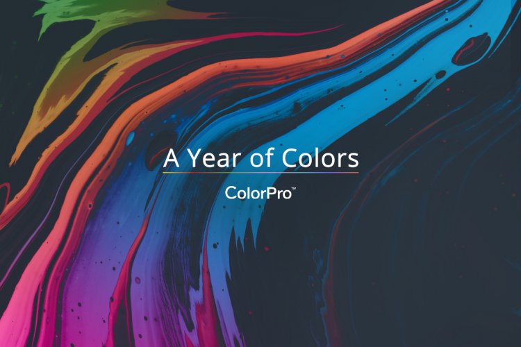 ViewSonic Reveals Stunning Collection of Images for "A Year of Colors" 2021