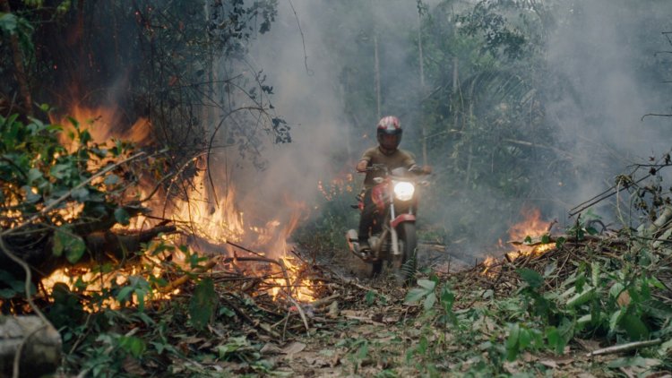 National Geographic Documentary Films Acquires Sundance Documentary THE TERRITORY About Indigenous-Led Land Defense in the Amazon Rainforest