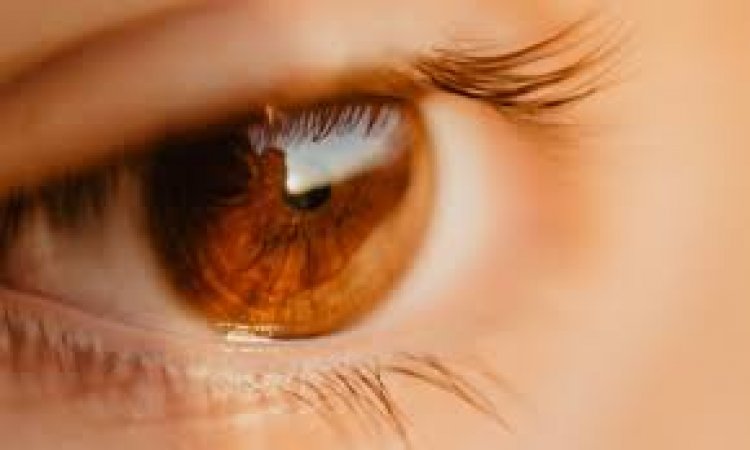 Glaucoma Eye Disorder is Expected to Double in India by 2040