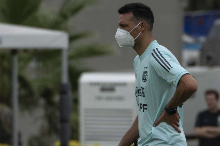 Argentina coach Scaloni to miss WCup qualifier due to virus