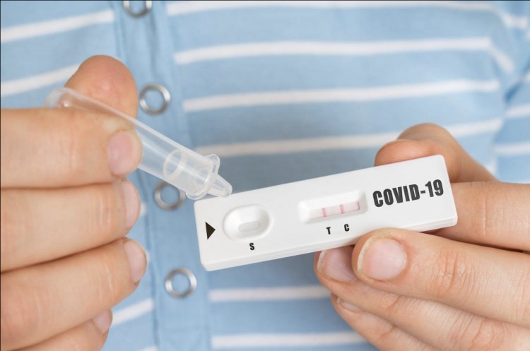 Roche Diagnostics launches self-testing kit for COVID-19