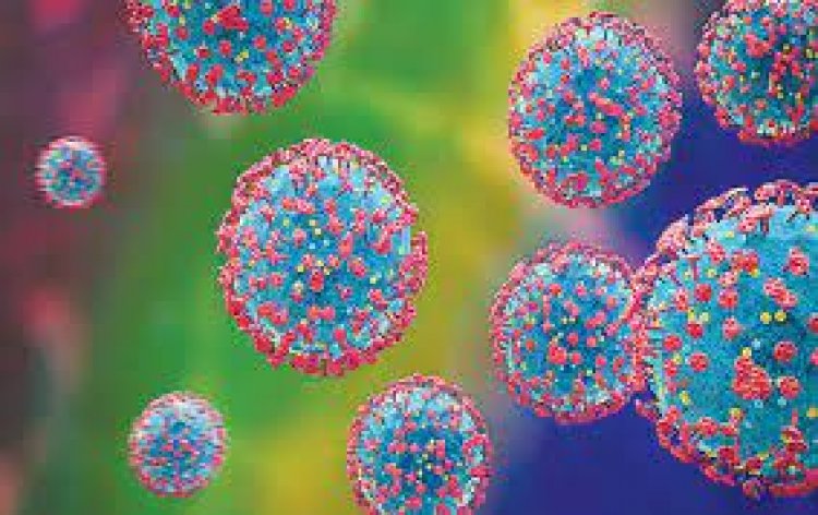 NeoCov: Doctors advise not to panic over new form of coronavirus
