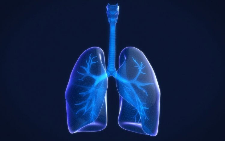Long Covid: Mild infections can lead to hidden lung damage