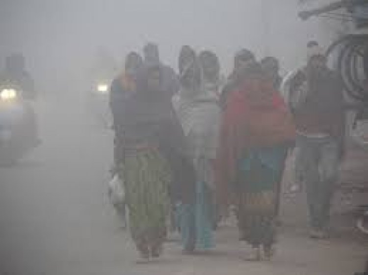 Cold conditions persist in Rajasthan