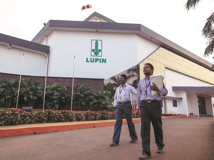 Lupin consolidated net profit up 24% at Rs 545 crore in Dec quarter