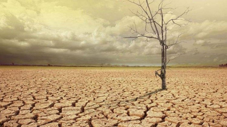 Nagaland declared moderate drought hit state
