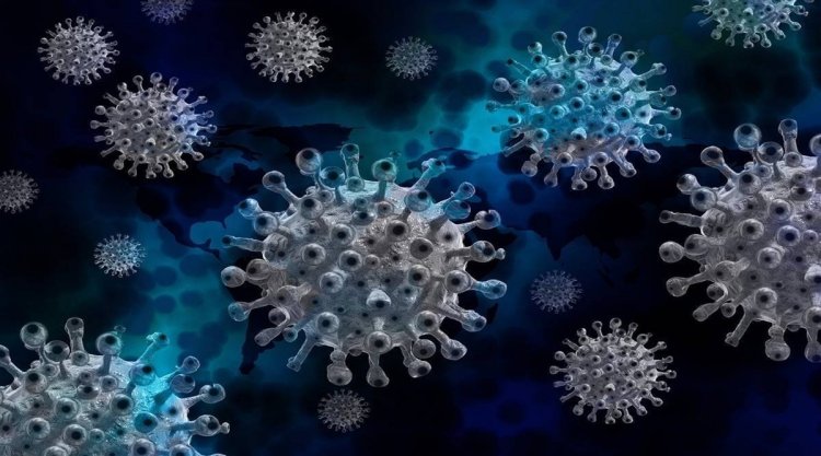 New inexpensive, non-toxic coating for fabrics can kill Covid virus: Study