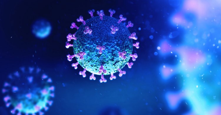 New coronavirus cases drop by 19% globally, deaths stable, says WHO