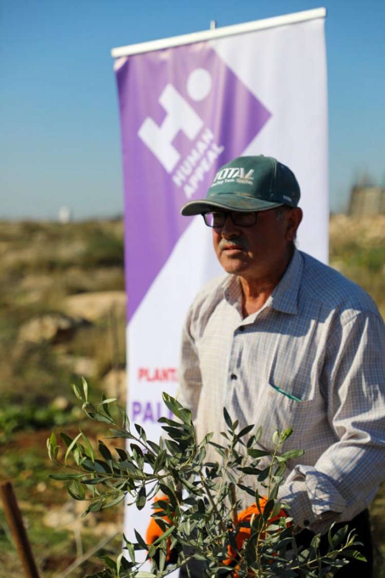 Human Appeal Supports the Planting of 25,000 Olive Trees in Palestine