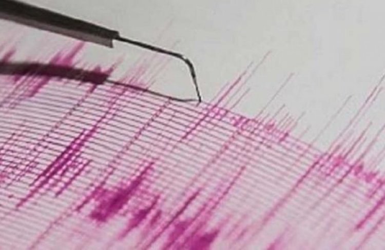 Moderate intensity quake hits Odisha's Nayagarh district