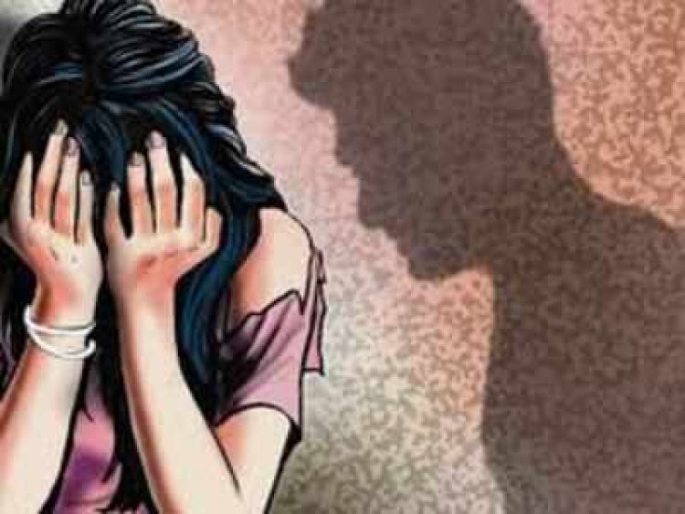 4-yr-old raped in Rajasthan's Karauli: Police
