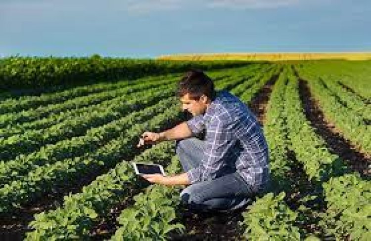 FarmERP Captures Data to aid smoother functioning of Farms and Efficiently Resolves Farming Problems
