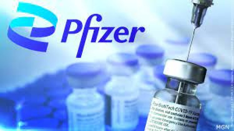 Pfizer seeking authorisation for 4th Covid dose for seniors: Report