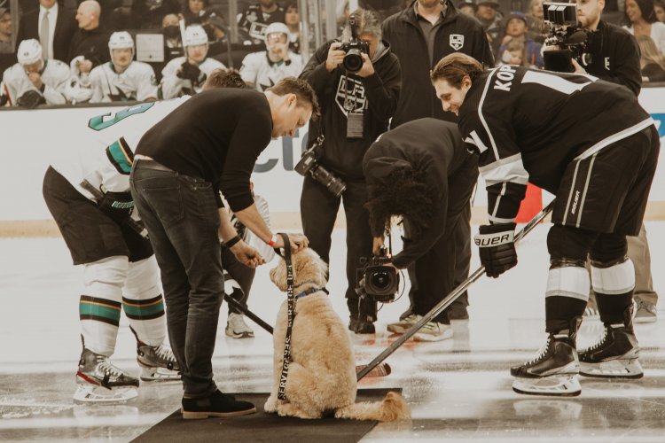 Crypto.com Arena Goes to the Dogs with ZippyPaws Themed Night at LA Kings Game