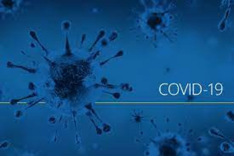 New Zealand to remove coronavirus pandemic mandates as omicron wanes