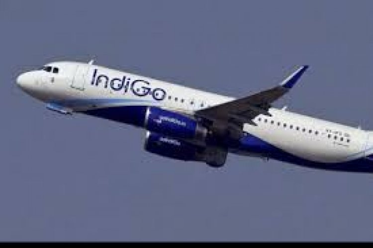 IndiGo, Turkish Airlines resume codeshare partnership