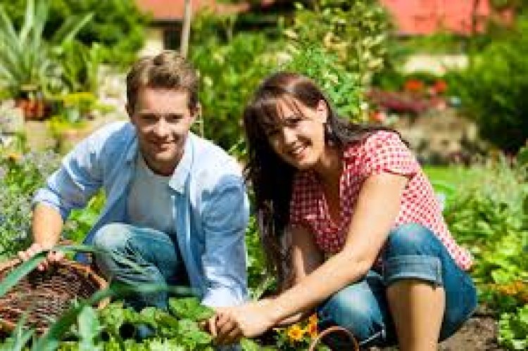 Millennials and their love for gardening