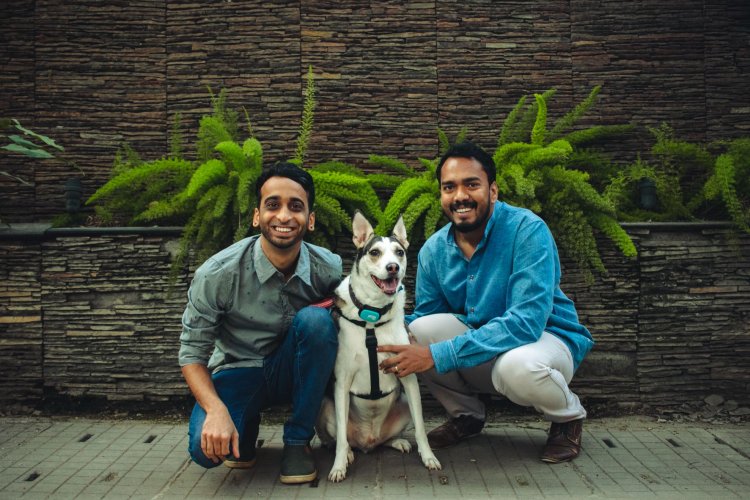 Wagr, India’s Super-App for Pet Care, raises Rs 4.2Cr led by Inflection Point Ventures