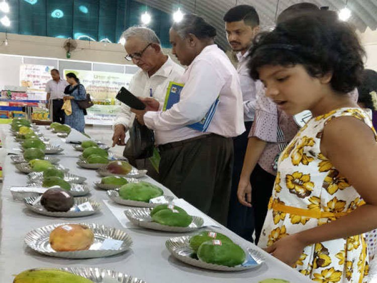 Kokan Bhumi Pratishthan's 'The Mango Fleea' brings 350 farmers from Alphonso growing clusters from Konkan to the malls in Mumbai