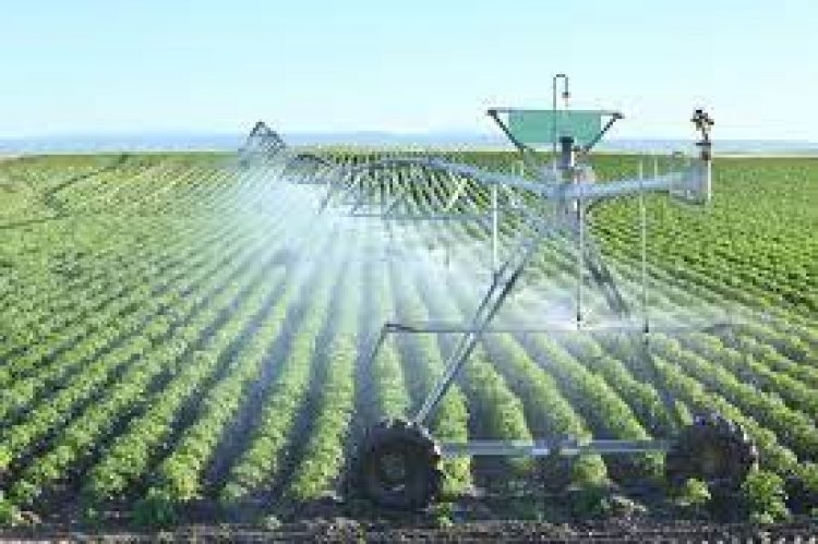 Importance of water management for sustainable agriculture and future