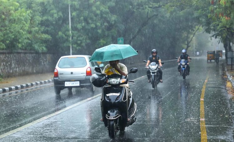 Summer rains bring respite to people in TN