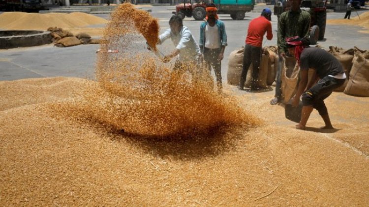 US hopes India would 'reconsider' its decision to restrict wheat exports