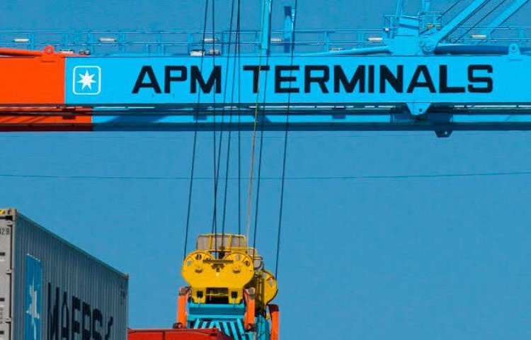 APM Terminals Pipavav's Q4 net profit increases 10% to Rs 72 crore